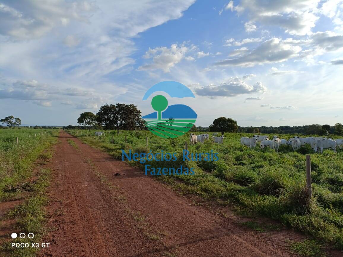 Fazenda de 726 ha em Novo Planalto, GO