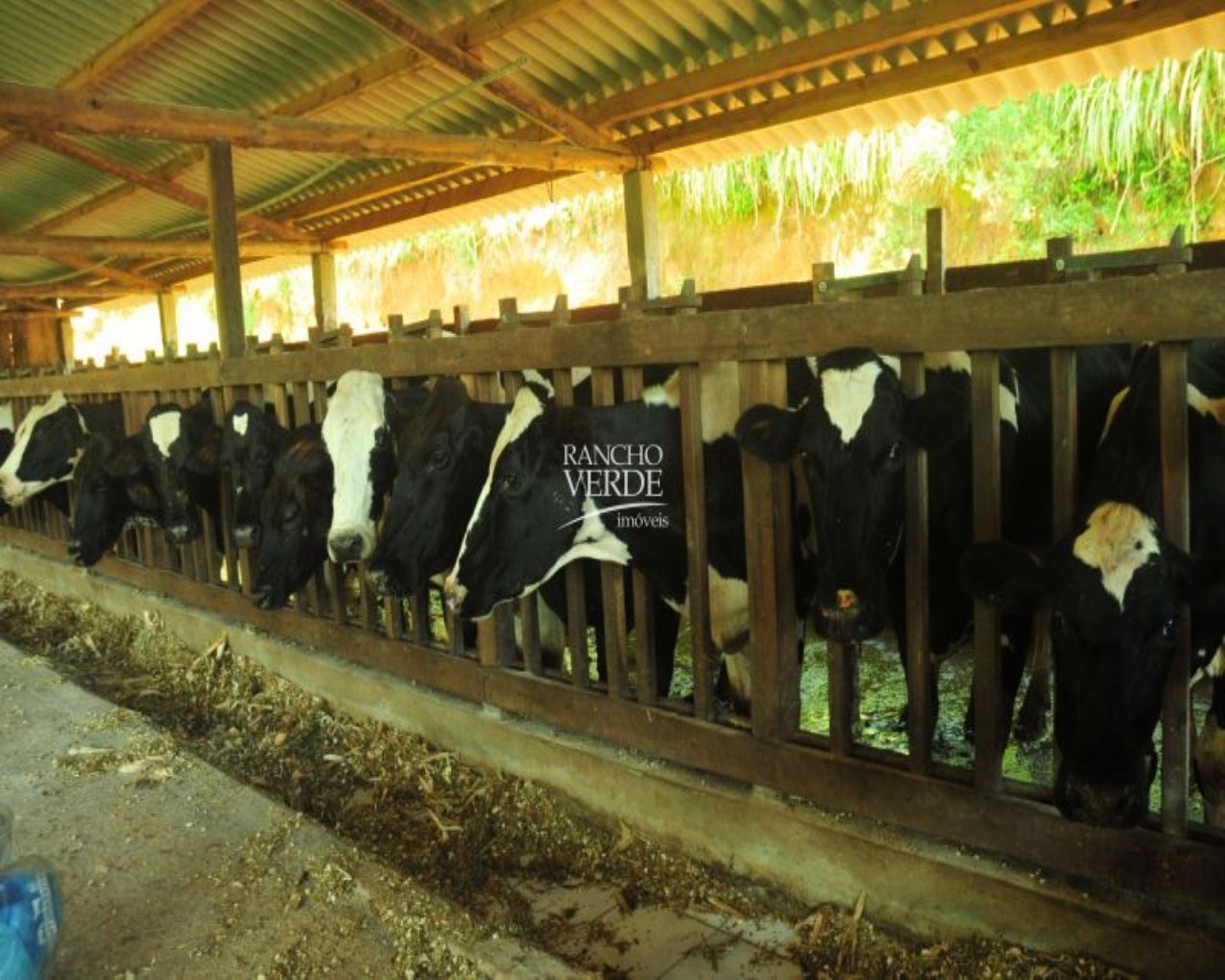 Fazenda de 310 ha em Bocaina de Minas, MG