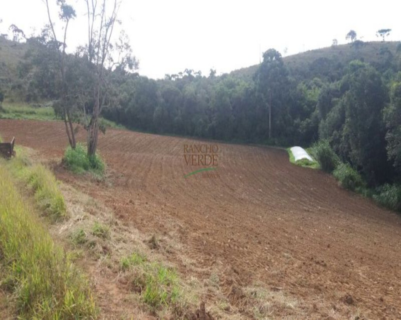 Fazenda de 310 ha em Bocaina de Minas, MG