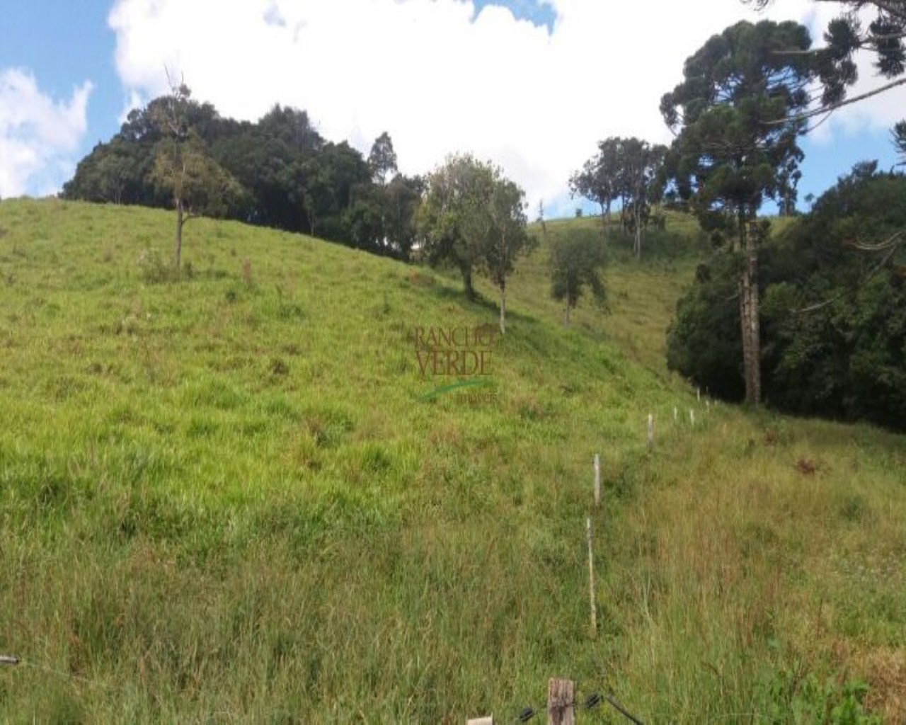 Fazenda de 310 ha em Bocaina de Minas, MG