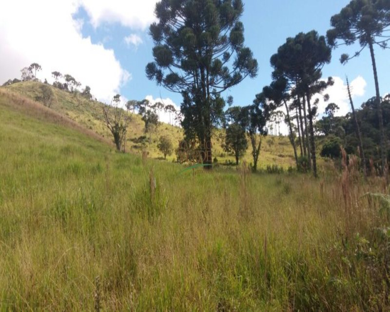 Fazenda de 310 ha em Bocaina de Minas, MG