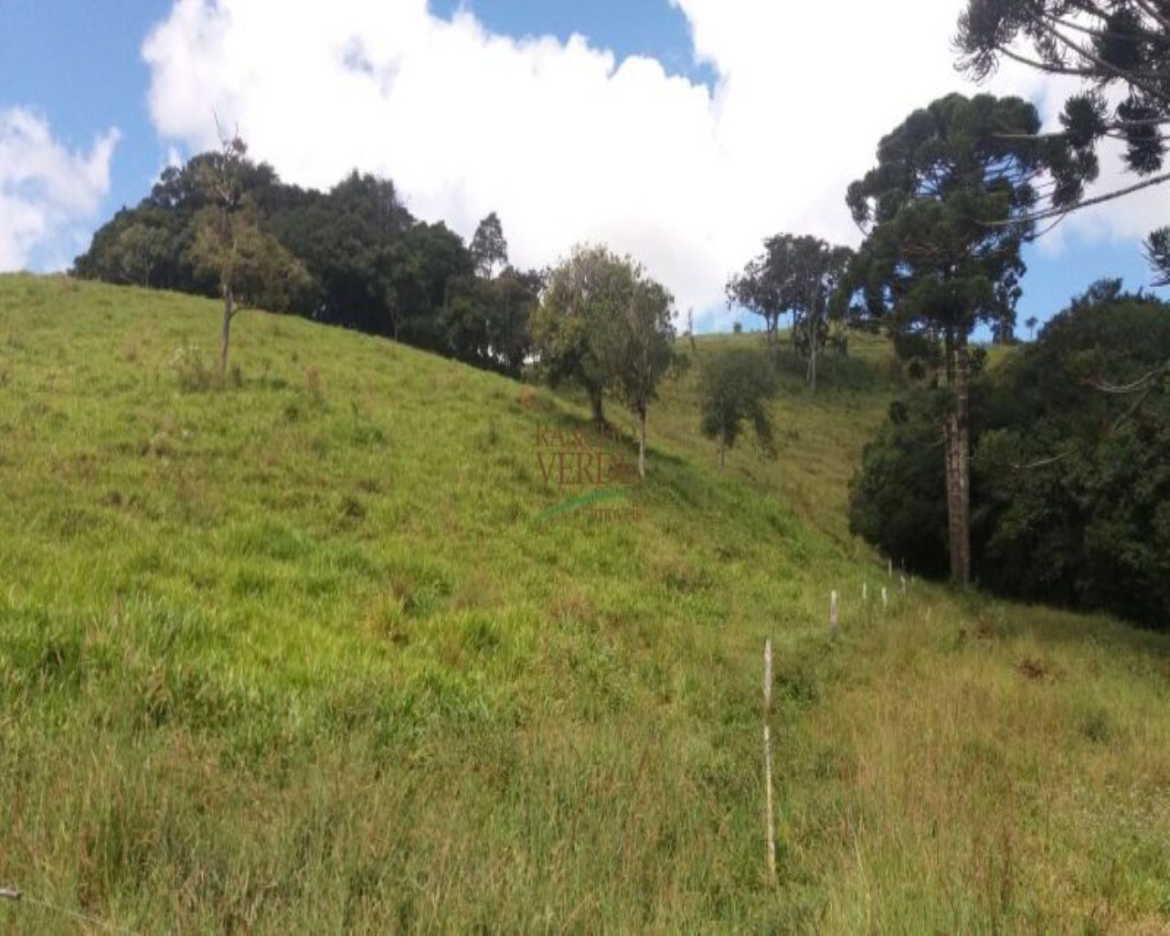 Fazenda de 310 ha em Bocaina de Minas, MG