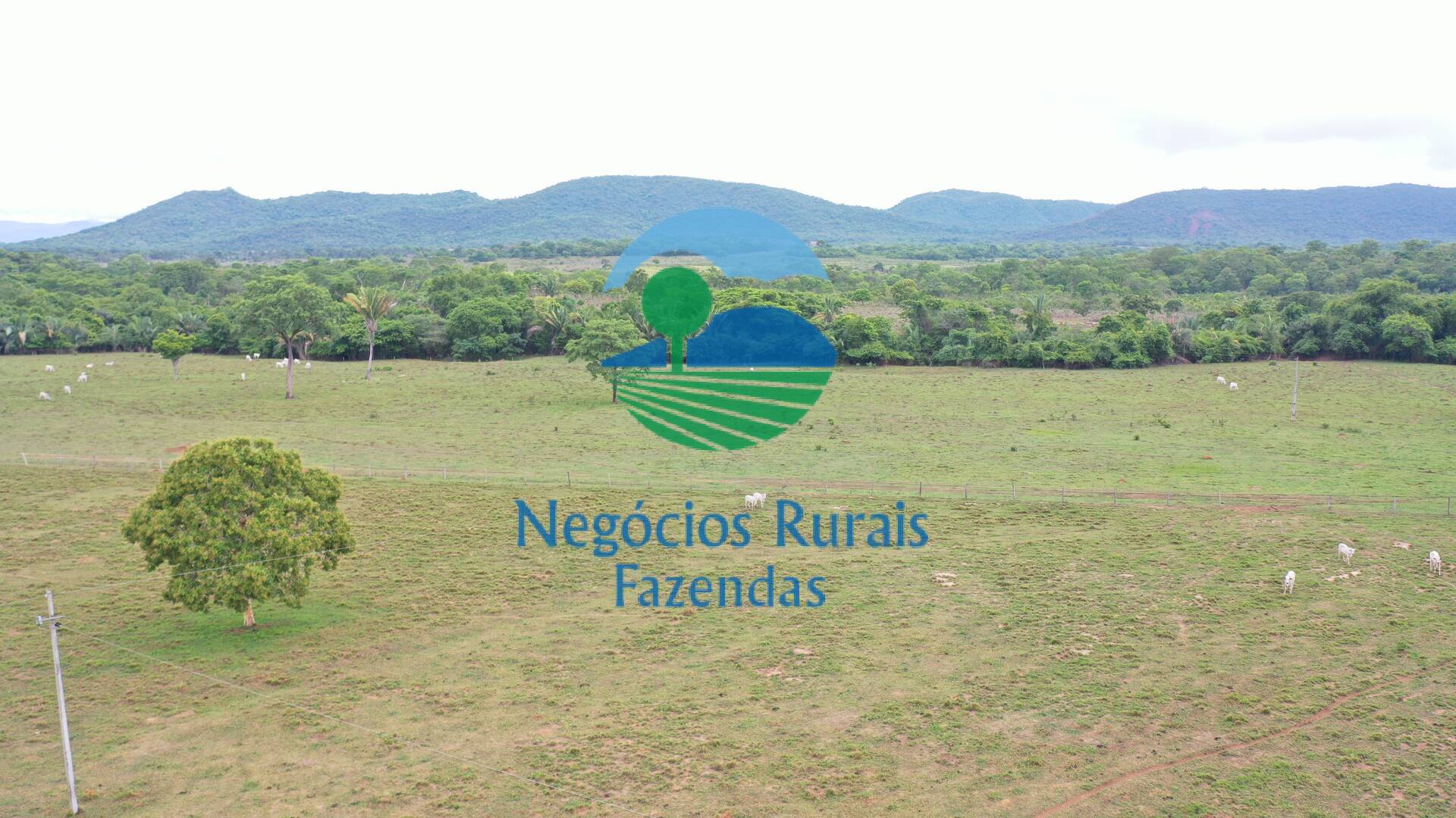 Fazenda de 784 ha em Palmeirópolis, TO