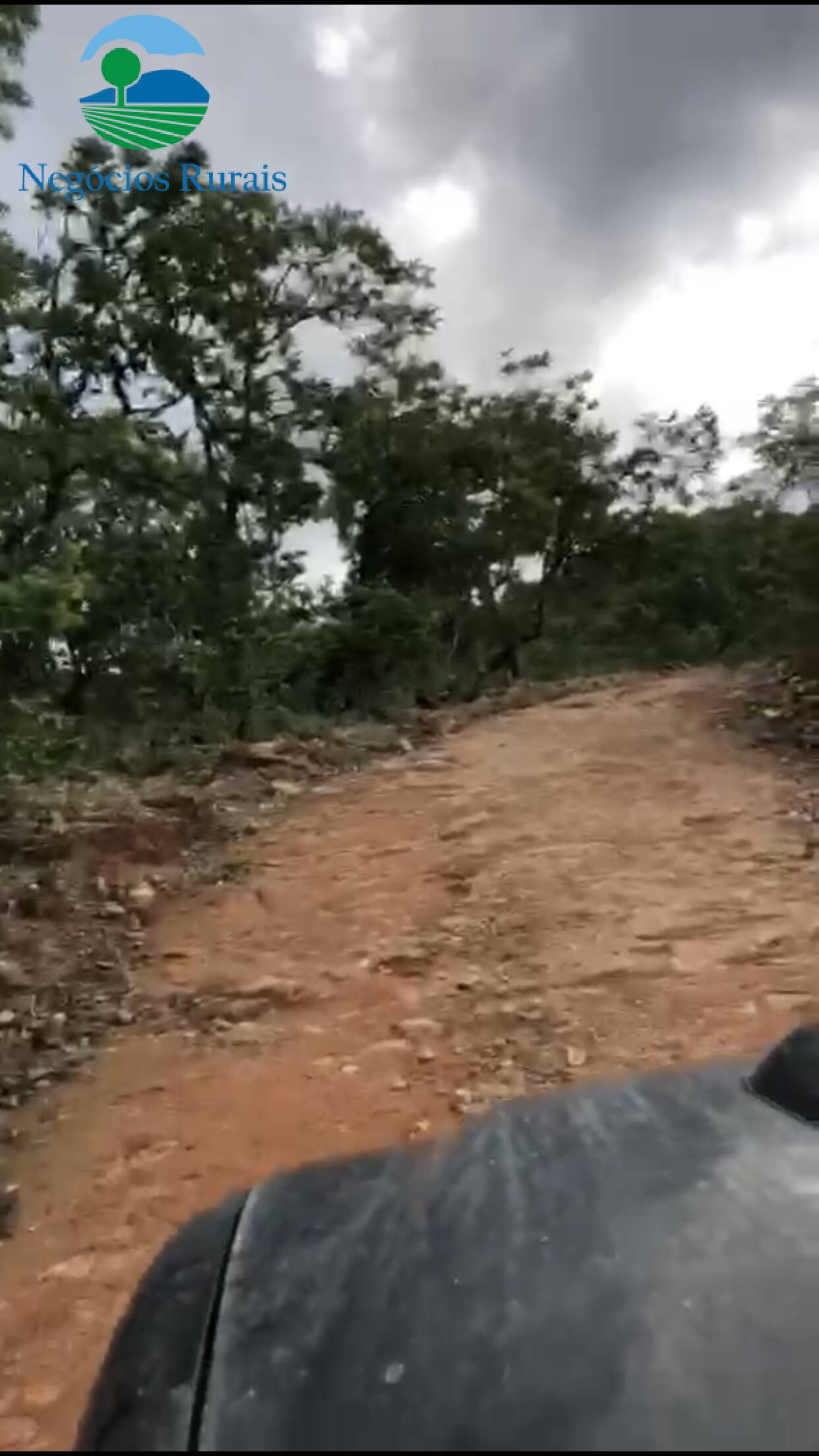 Fazenda de 208 ha em Nova Iguaçu de Goiás, GO