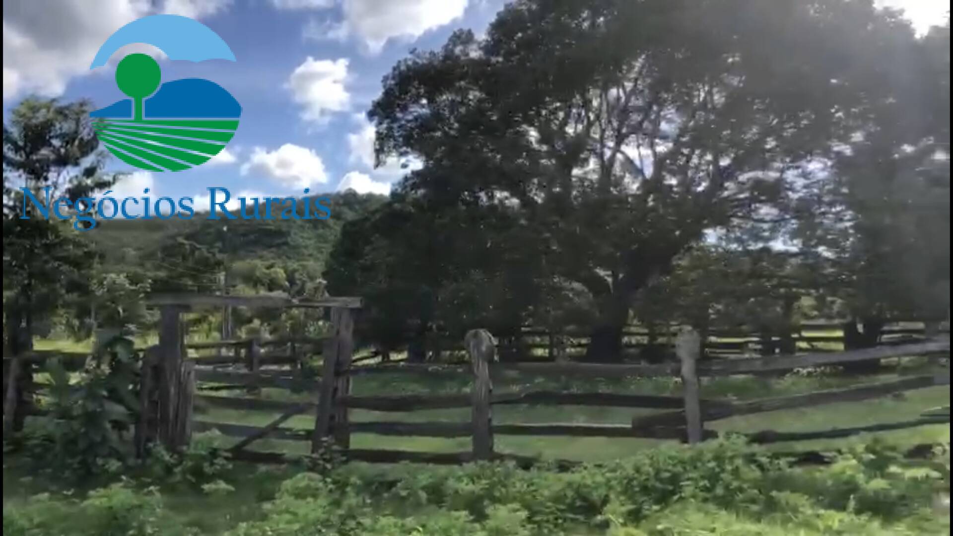 Fazenda de 208 ha em Nova Iguaçu de Goiás, GO