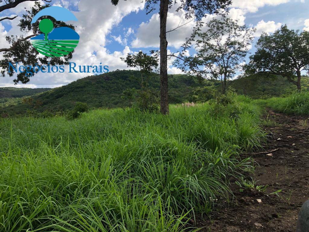 Fazenda de 208 ha em Nova Iguaçu de Goiás, GO