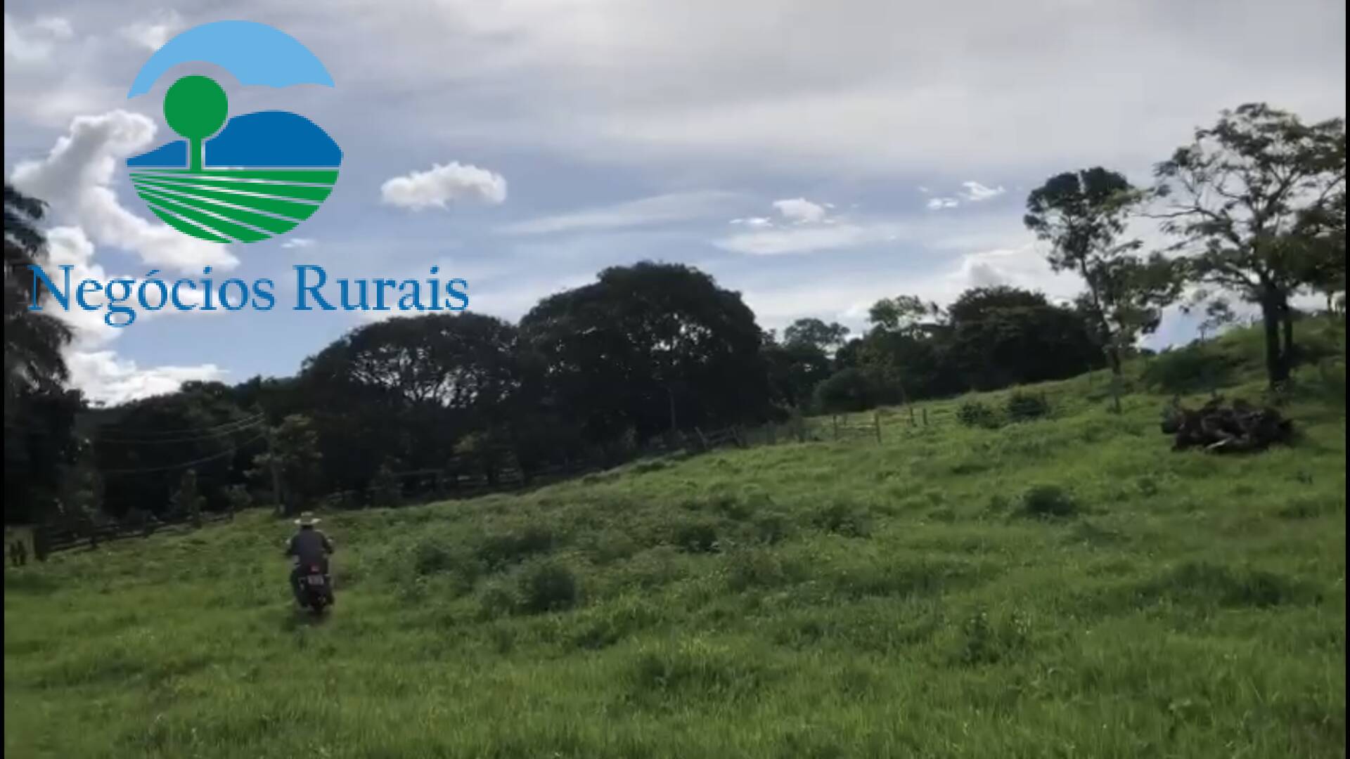 Fazenda de 208 ha em Nova Iguaçu de Goiás, GO