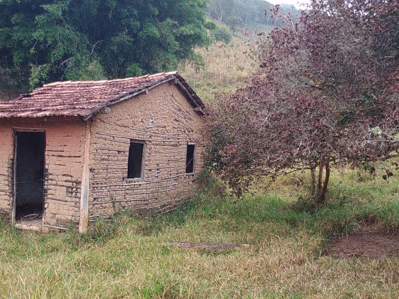 Sítio de 56 ha em São Luiz do Paraitinga, SP