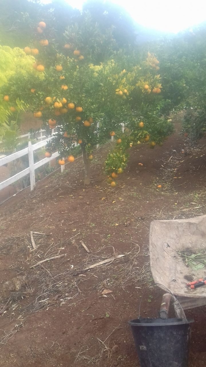 Sítio de 10 ha em Paraisópolis, MG