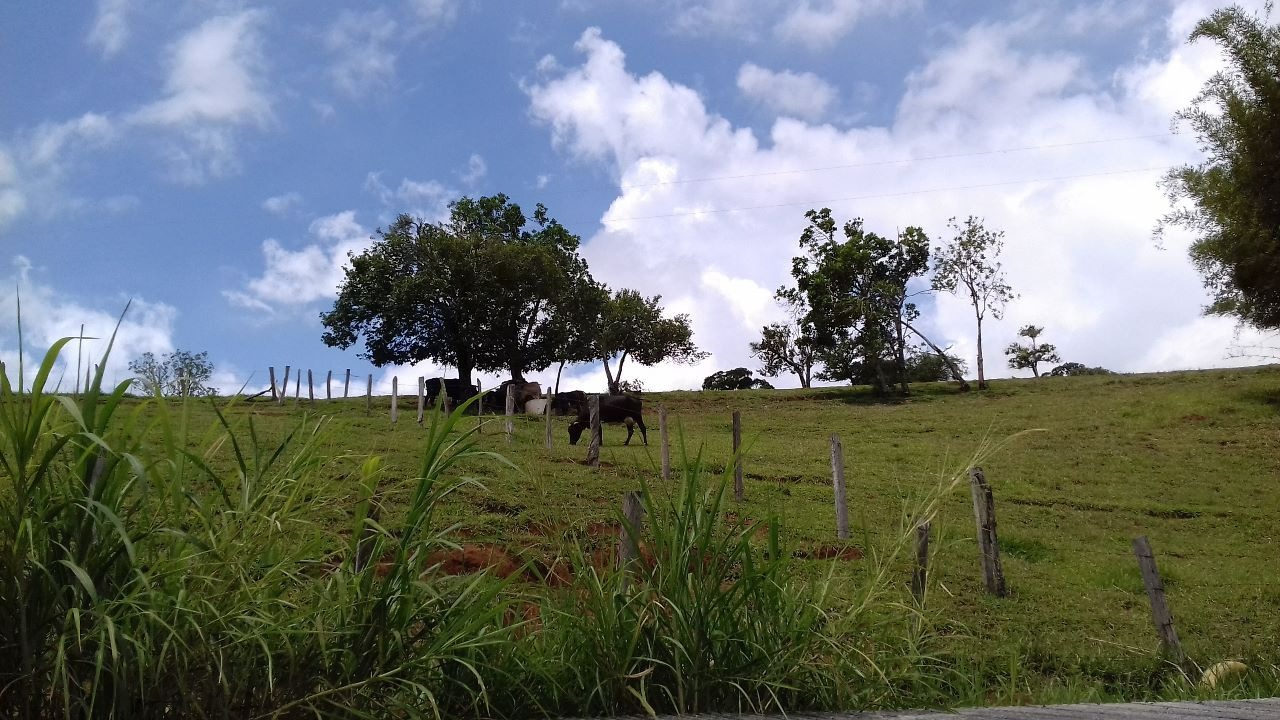 Sítio de 10 ha em Paraisópolis, MG