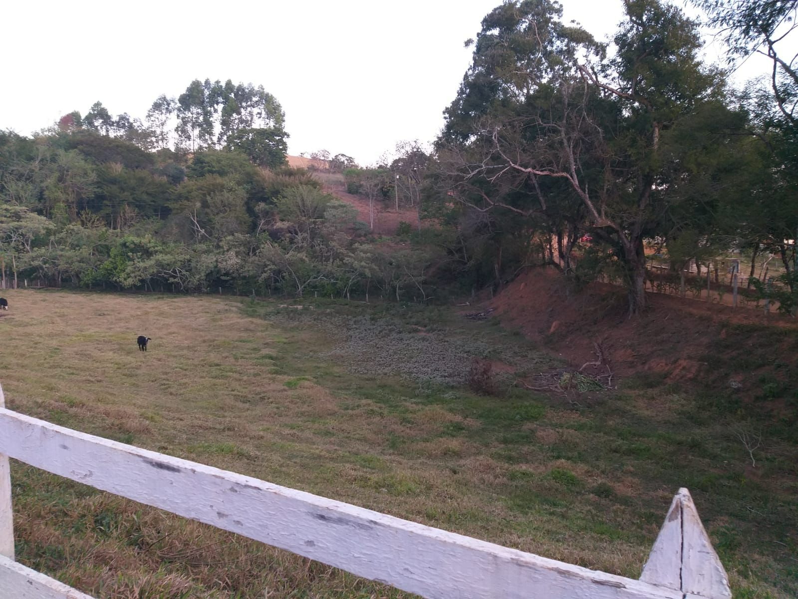 Sítio de 10 ha em Paraisópolis, MG