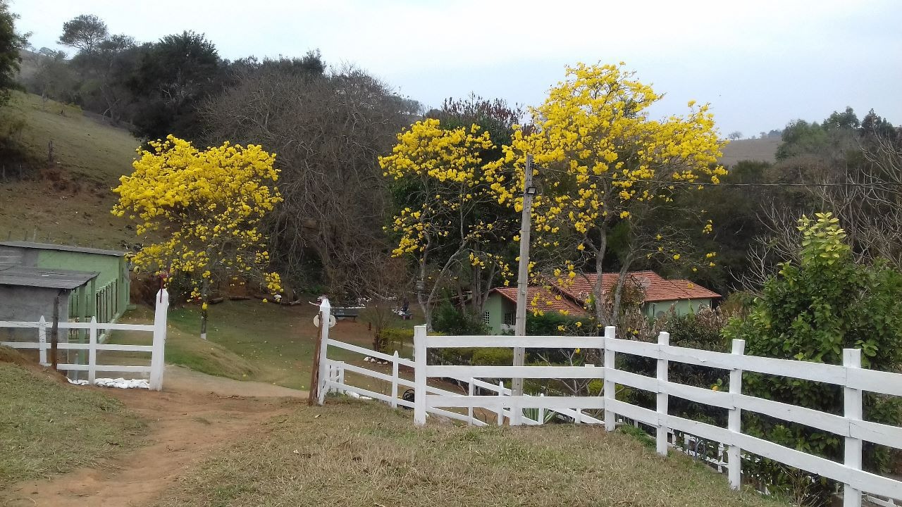 Sítio de 10 ha em Paraisópolis, MG