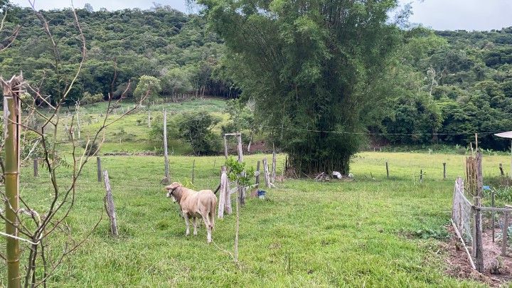 Sítio de 6 ha em Santo Antônio da Patrulha, RS