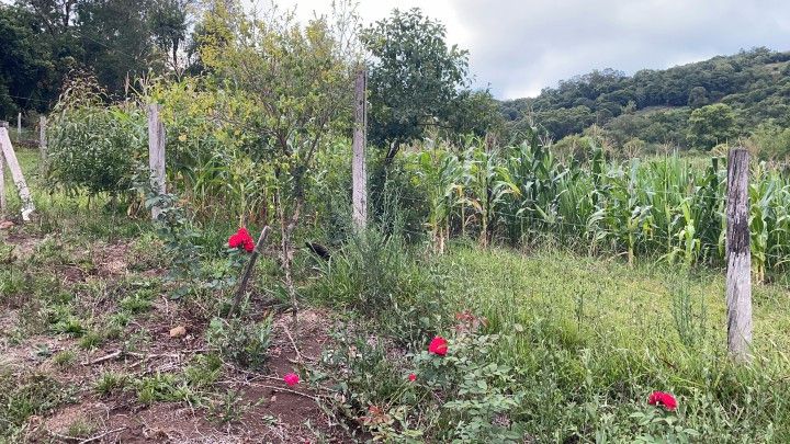 Sítio de 6 ha em Santo Antônio da Patrulha, RS