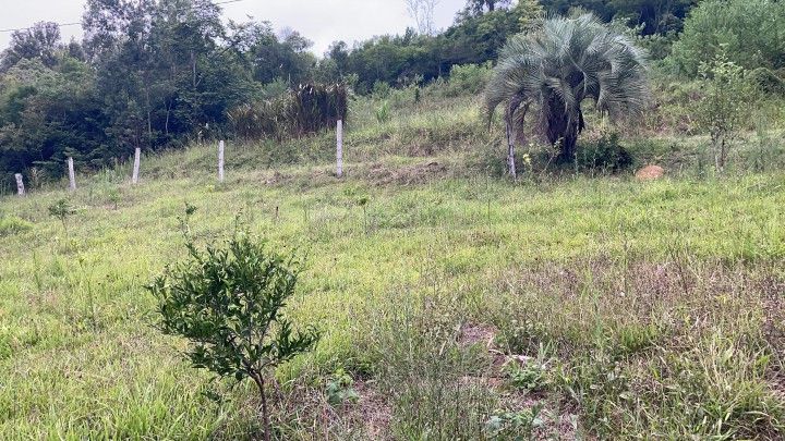 Sítio de 6 ha em Santo Antônio da Patrulha, RS