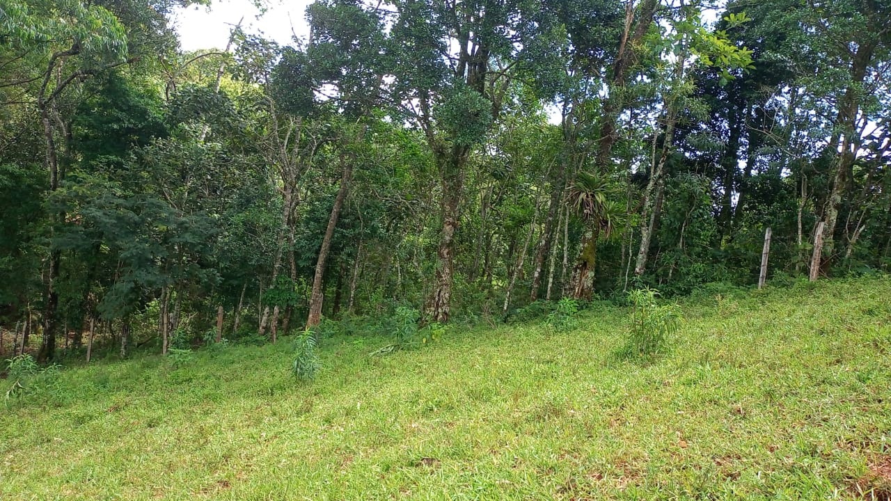 Sítio de 15 ha em São José dos Campos, SP