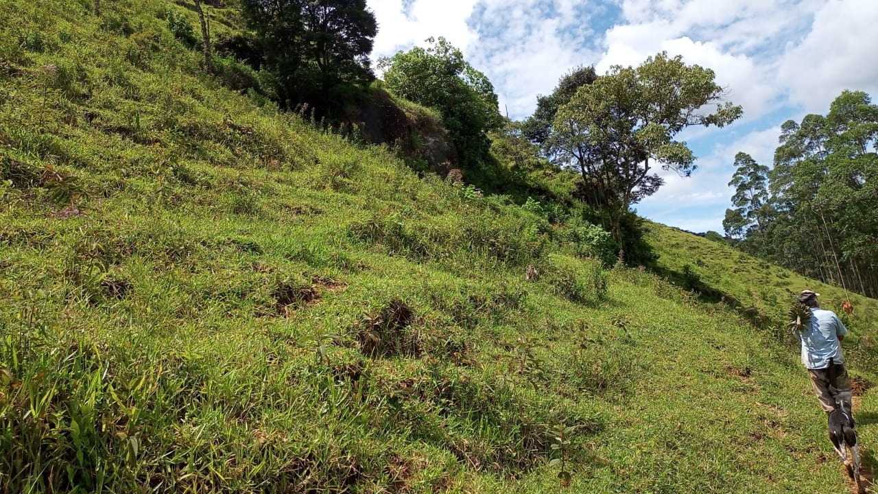 Sítio de 15 ha em São José dos Campos, SP