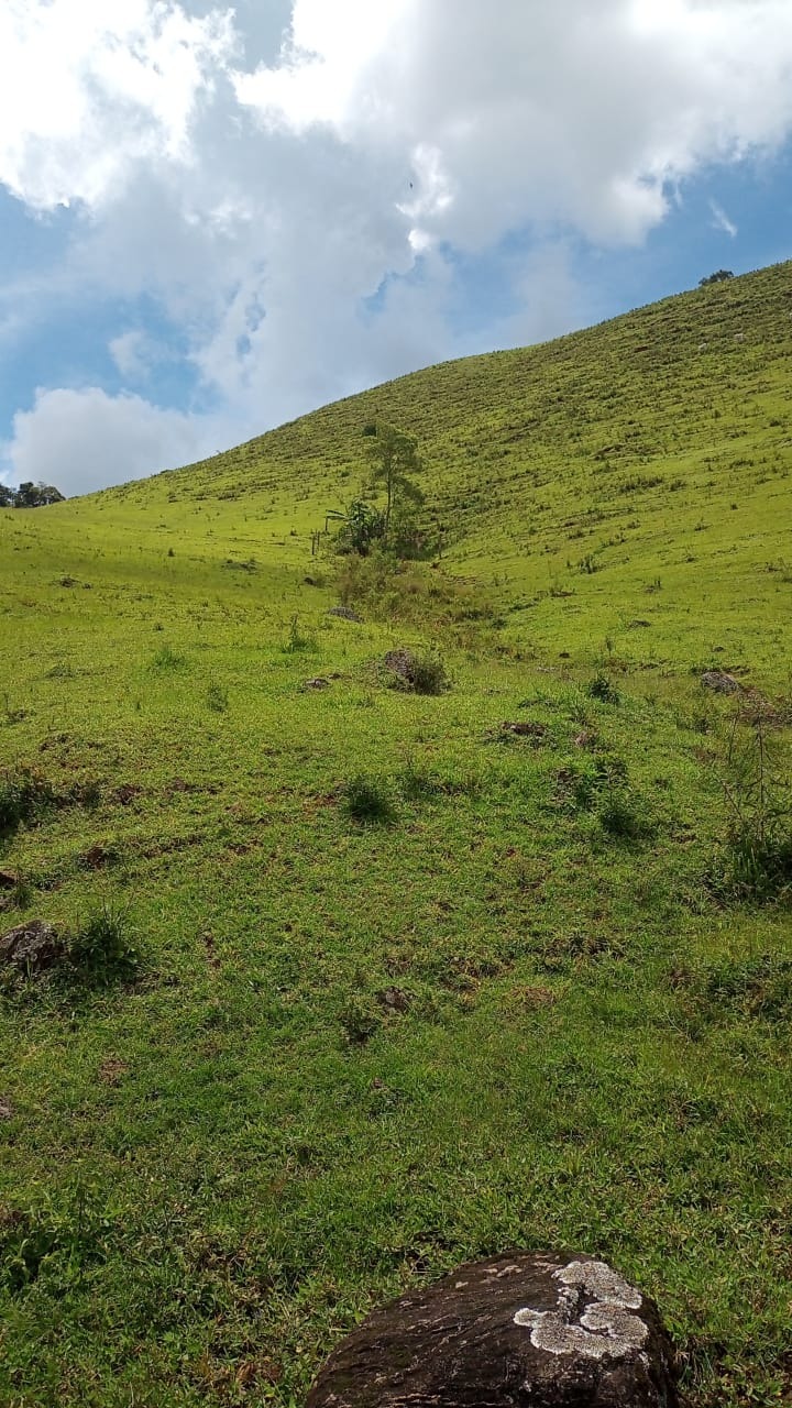 Sítio de 15 ha em São José dos Campos, SP