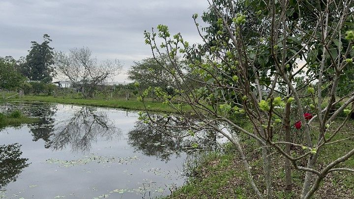 Terreno de 250 m² em Santo Antônio da Patrulha, RS