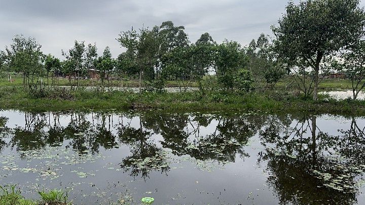 Terreno de 250 m² em Santo Antônio da Patrulha, RS