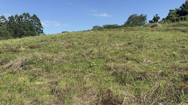 Chácara de 10 ha em Santo Antônio da Patrulha, RS