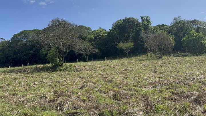 Chácara de 10 ha em Santo Antônio da Patrulha, RS