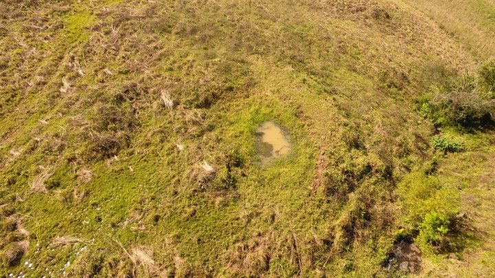 Chácara de 10 ha em Santo Antônio da Patrulha, RS