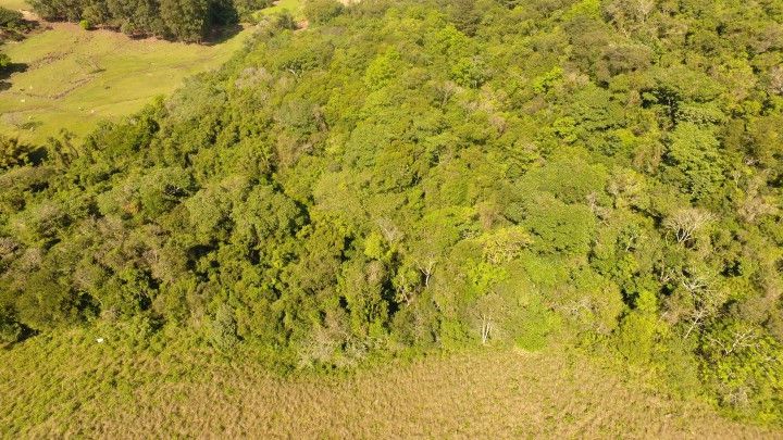 Chácara de 10 ha em Santo Antônio da Patrulha, RS