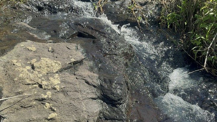 Chácara de 10 ha em Santo Antônio da Patrulha, RS