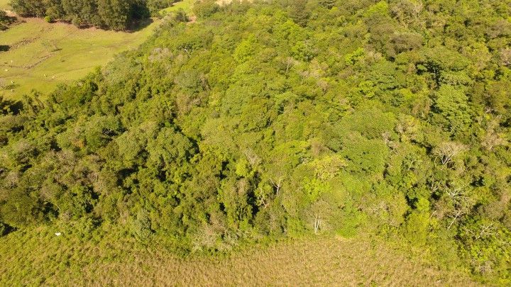 Chácara de 10 ha em Santo Antônio da Patrulha, RS