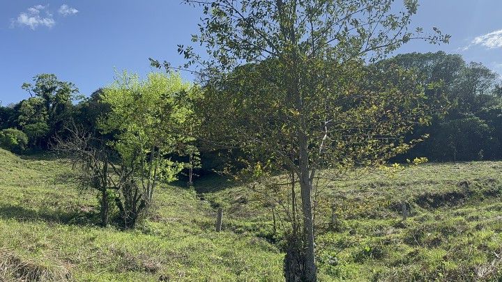 Chácara de 10 ha em Santo Antônio da Patrulha, RS