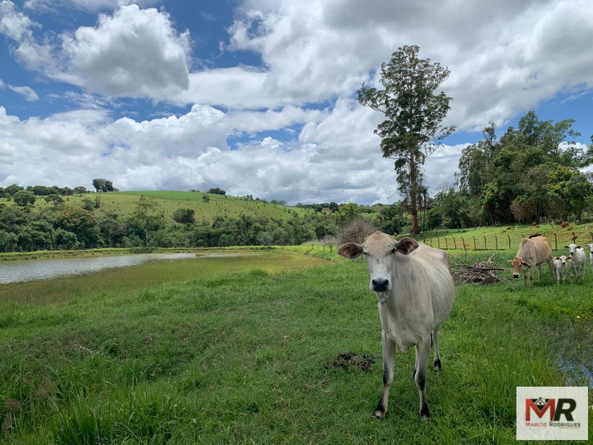 Sítio de 7 ha em Monte Sião, MG