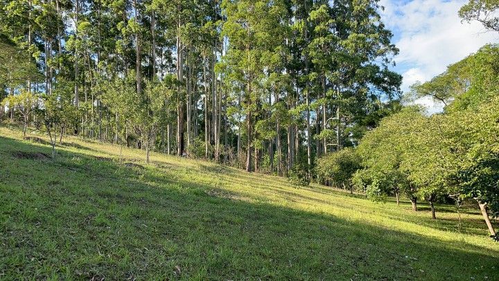 Chácara de 1 ha em Taquara, RS