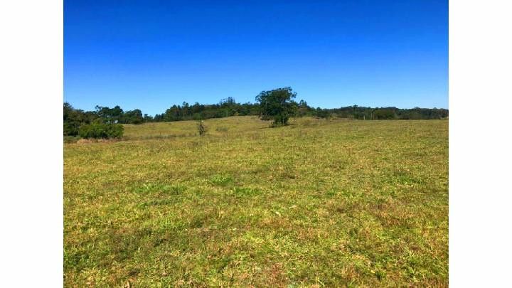 Fazenda de 60 ha em Taquara, RS