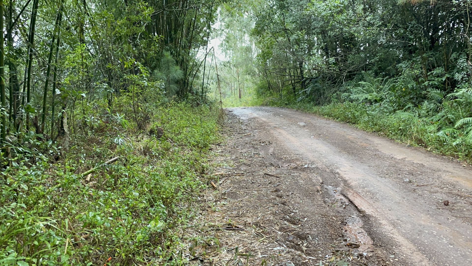 Fazenda de 75 ha em Osório, RS