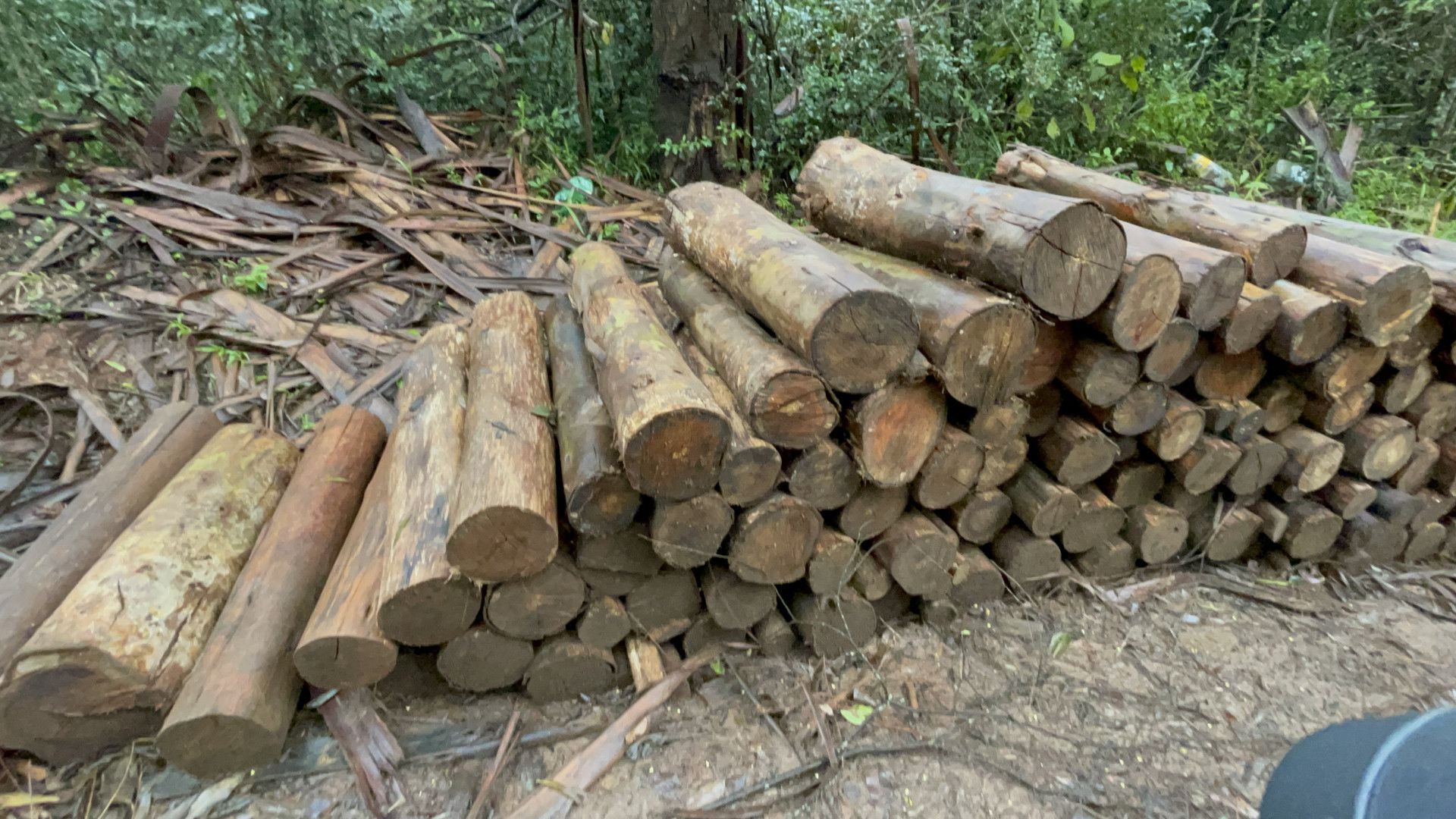 Fazenda de 75 ha em Osório, RS