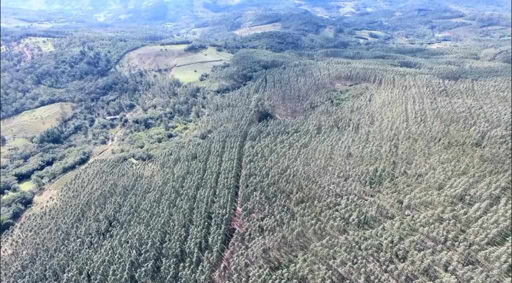 Fazenda de 75 ha em Osório, RS