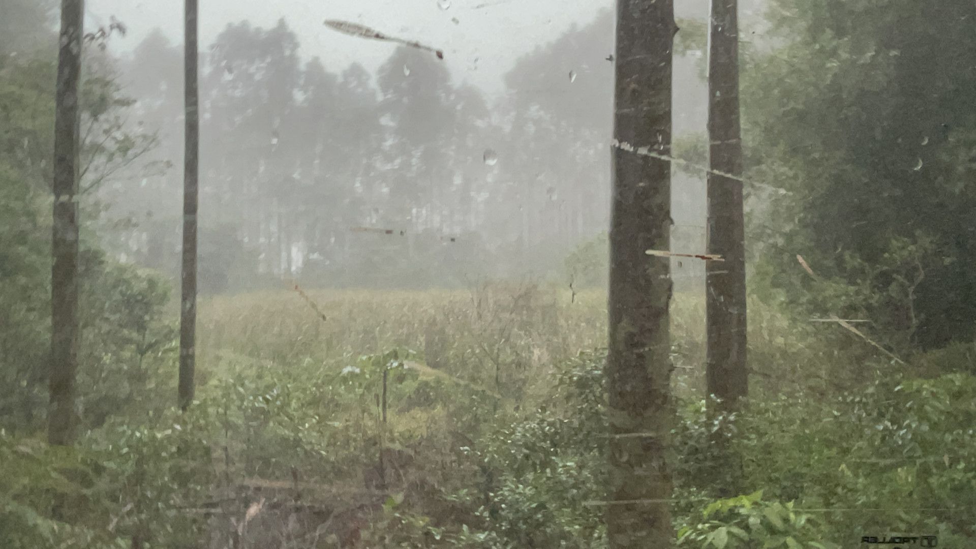 Fazenda de 75 ha em Osório, RS