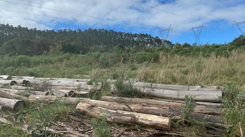 Fazenda de 75 ha em Osório, RS