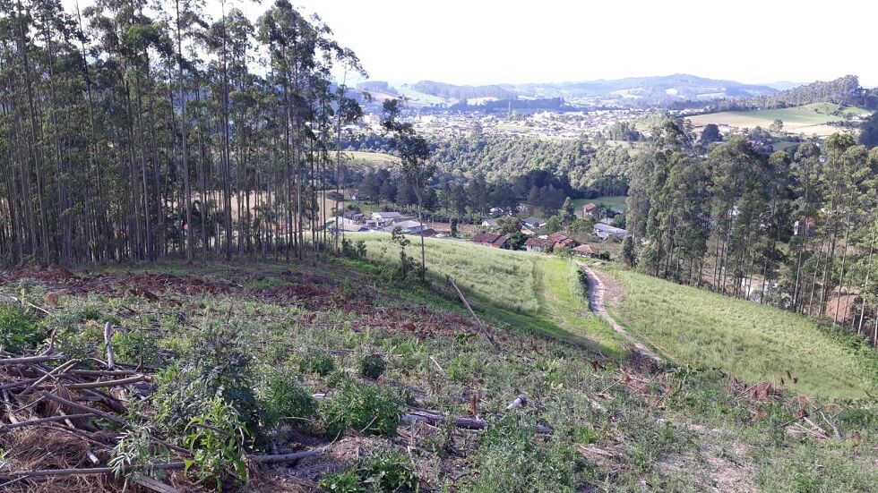 Terreno de 7 ha em Rio do Campo, SC