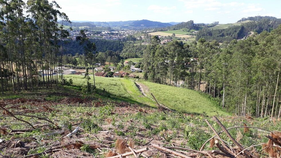 Terreno de 7 ha em Rio do Campo, SC