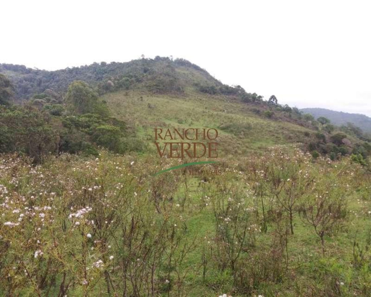 Fazenda de 223 ha em Gonçalves, MG