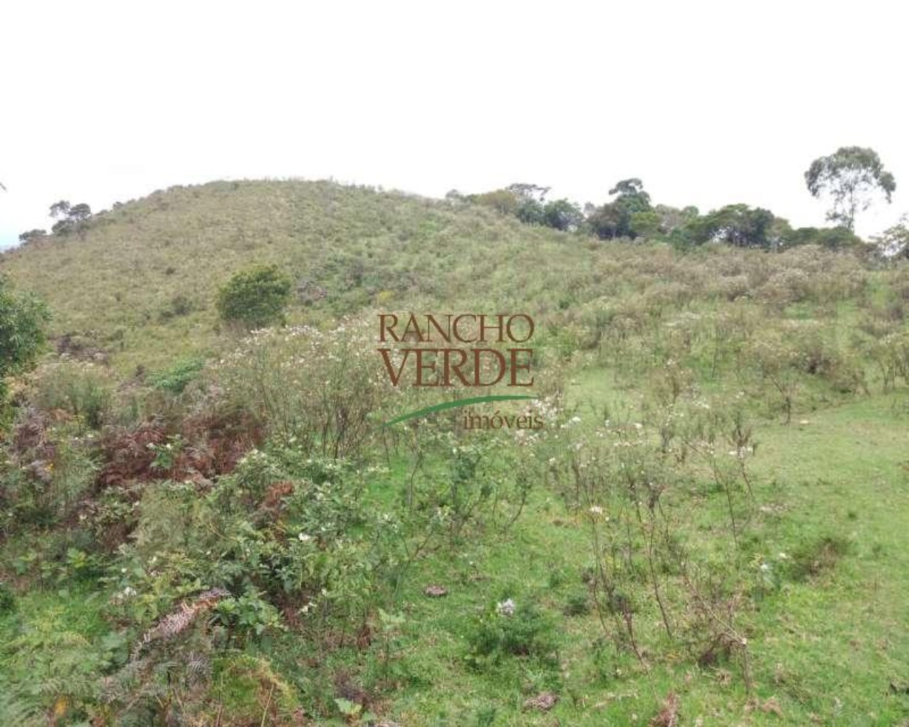 Fazenda de 223 ha em Gonçalves, MG