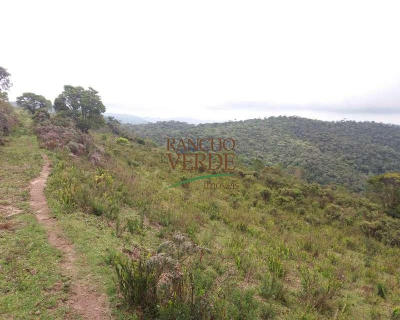 Fazenda de 223 ha em Gonçalves, MG