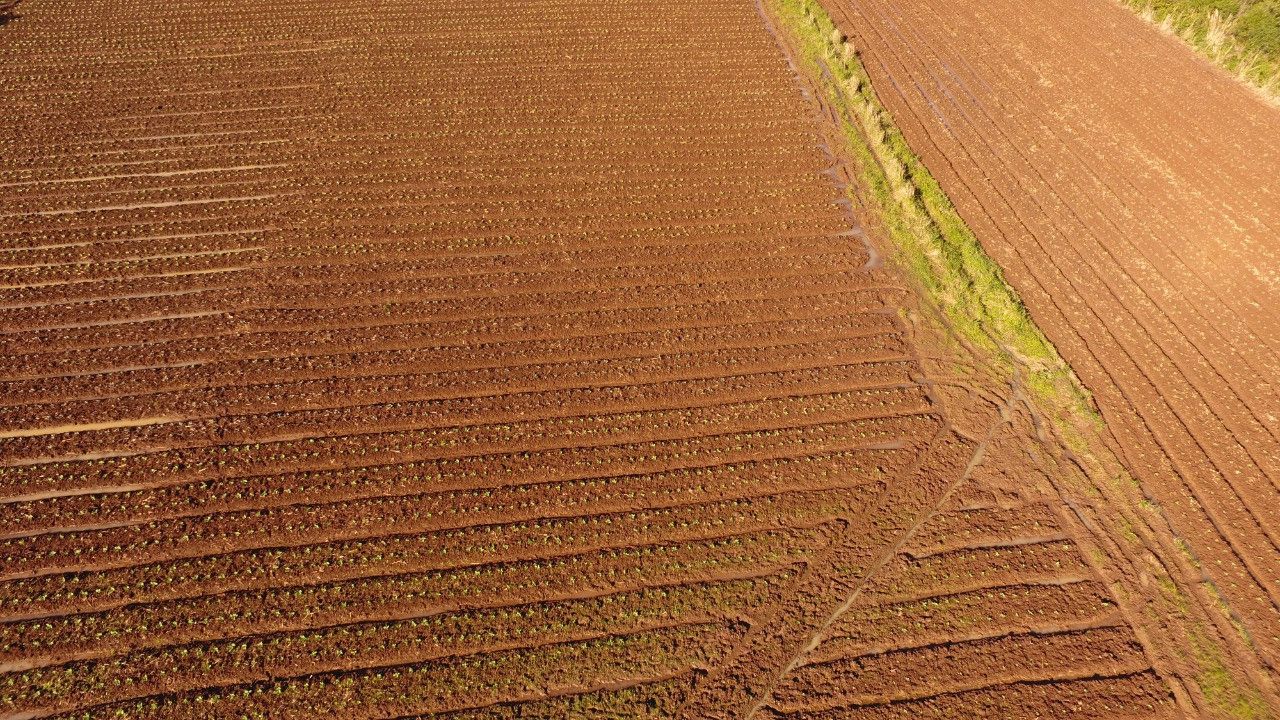 Terreno de 8 ha em Caraá, RS