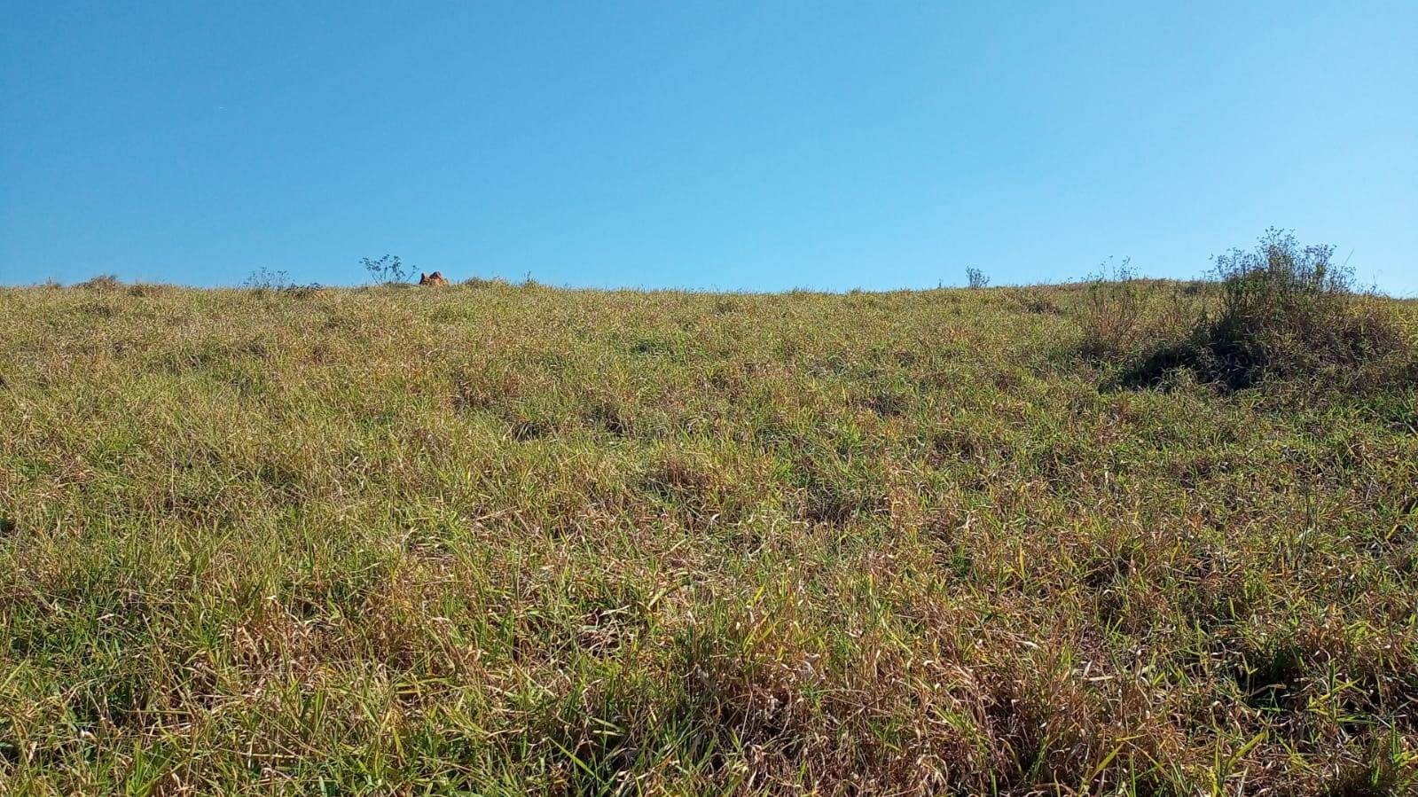 Terreno de 8 ha em São José dos Campos, SP