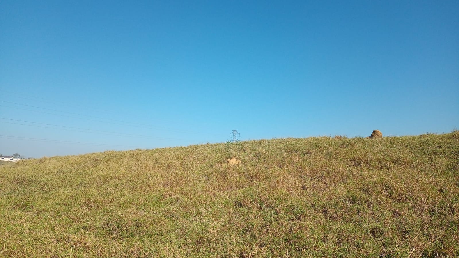 Terreno de 8 ha em São José dos Campos, SP