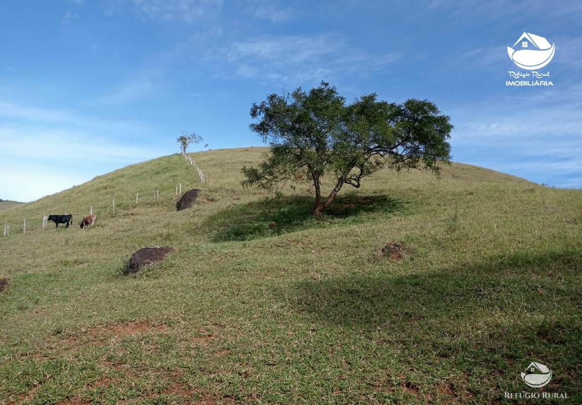 Sítio de 15 ha em São José dos Campos, SP