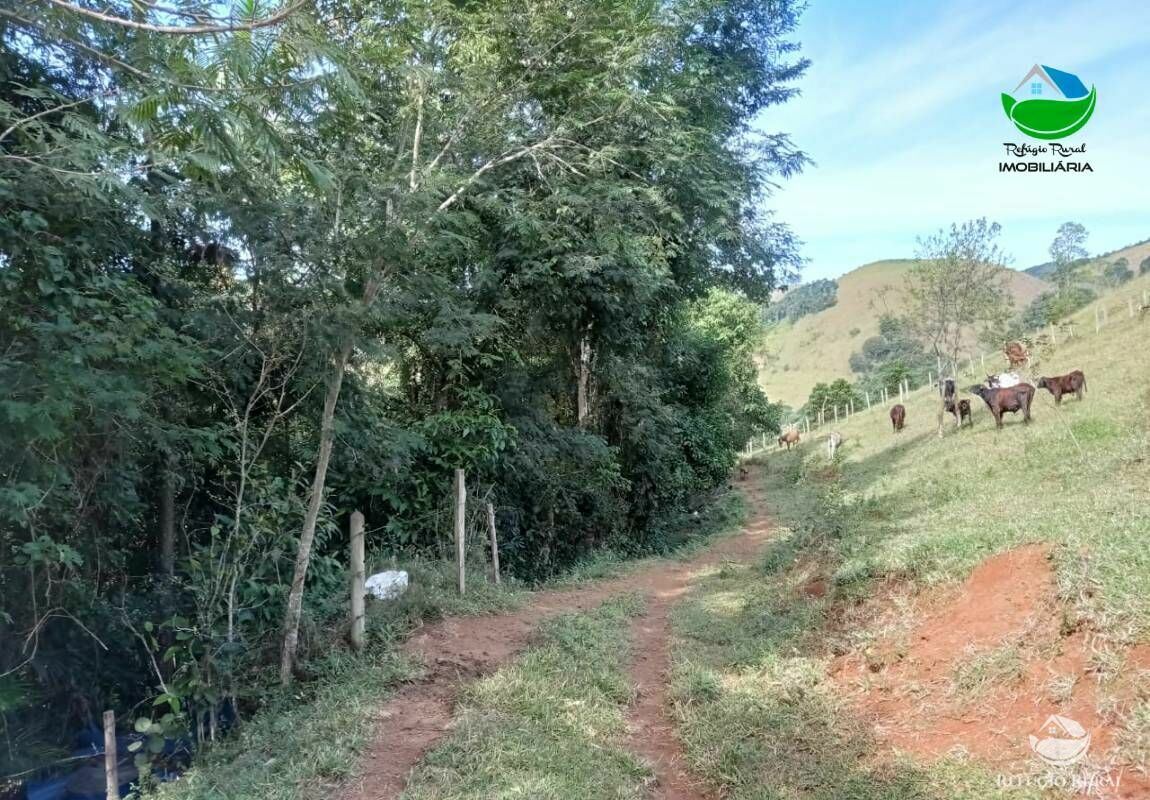 Sítio de 15 ha em São José dos Campos, SP