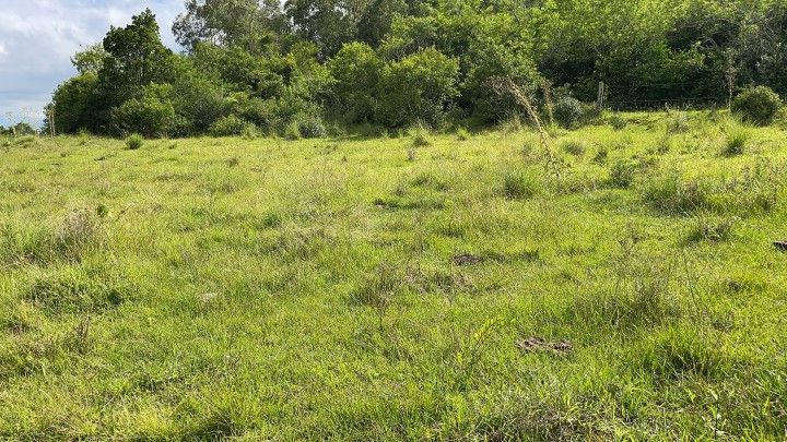 Chácara de 3 ha em Santo Antônio da Patrulha, RS